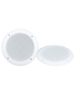 100W 5inch speaker white