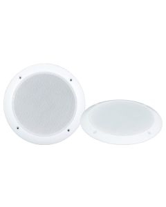 100W 5inch speaker white