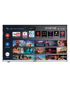 RSE 22" Voice Activated Smart TV with DVD, Chromecast & Satellite Freeview